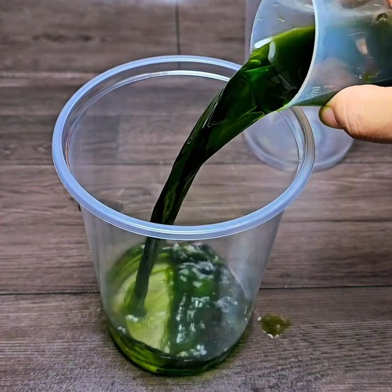 Bước 4 Pha chế trà tắc thái xanh Trà tắc thái xanh