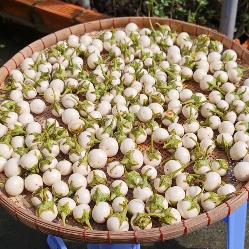 Bước 1 Phơi cà pháo Cà teo ngâm mắm