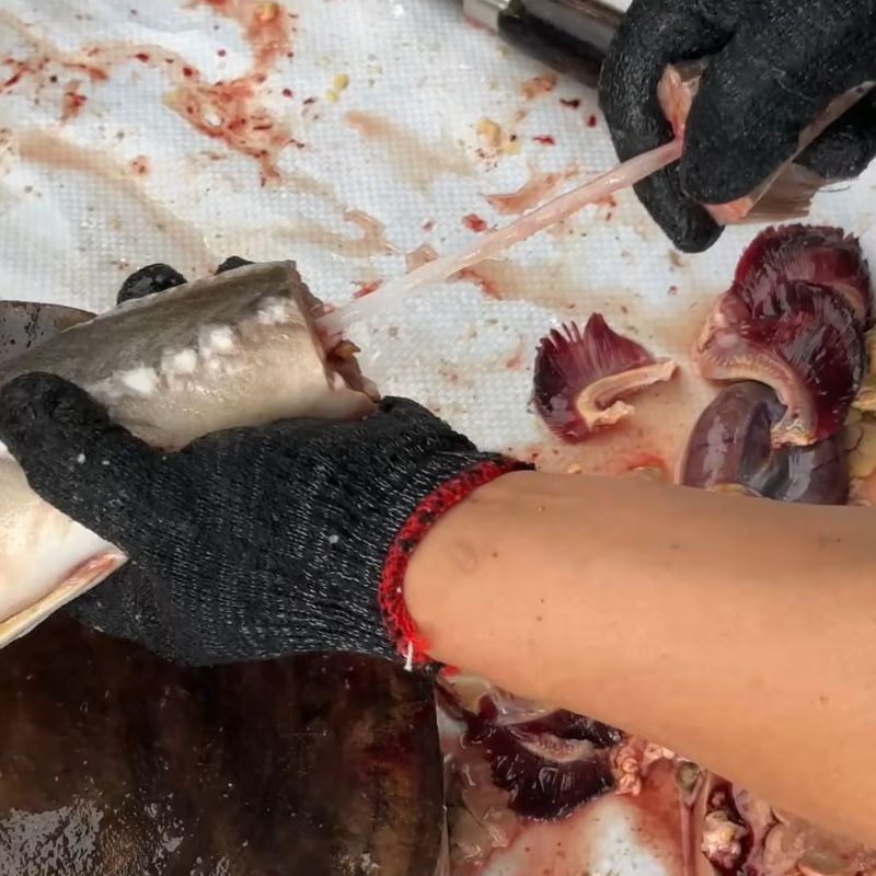 Bước 5 Rút tủy cá tầm (tùy chọn) cá tầm