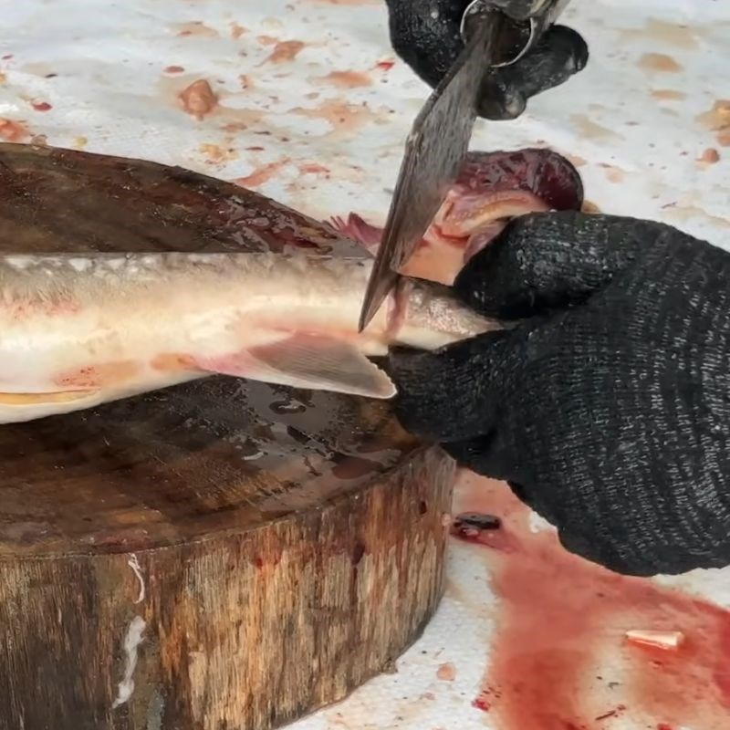 Bước 5 Rút tủy cá tầm (tùy chọn) cá tầm