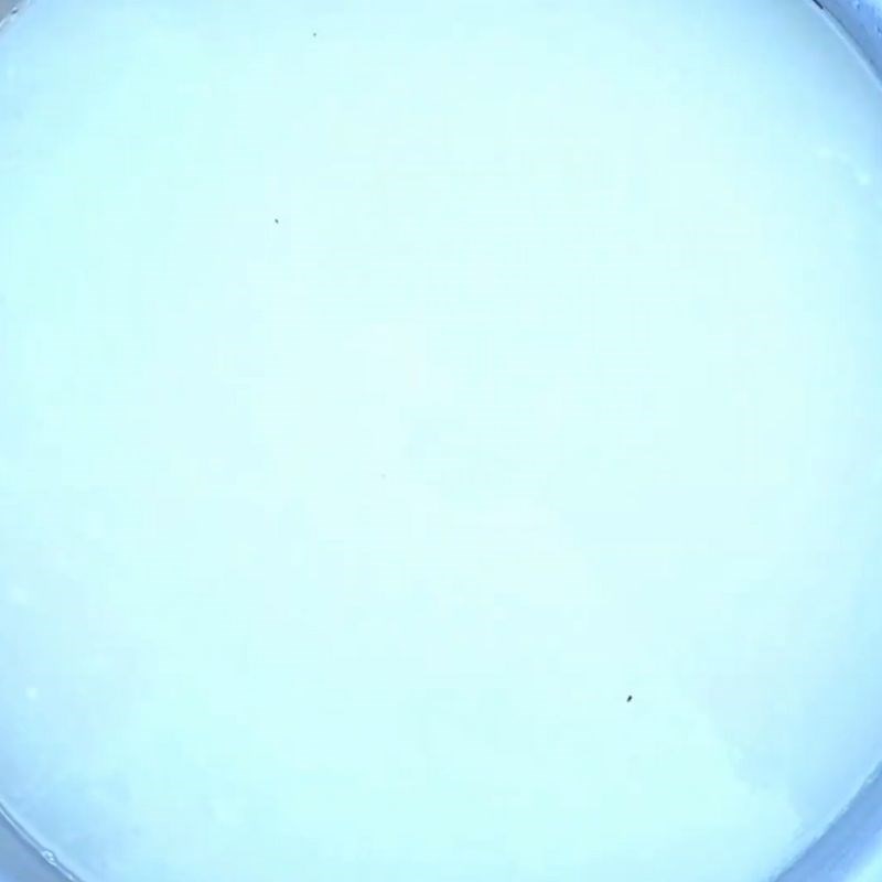 Bước 1 Sơ chế gạo làm bánh nắm Bánh nắm