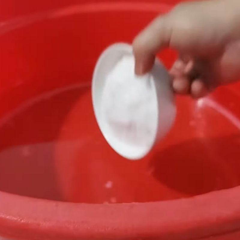 Bước 1 Sơ chế nho rừng Nho ngâm rượu trắng