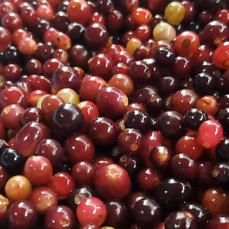 Bước 1 Sơ chế nho rừng Nho ngâm rượu trắng