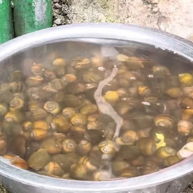 Bước 1 Sơ chế và làm sạch ốc mít Ốc mít luộc