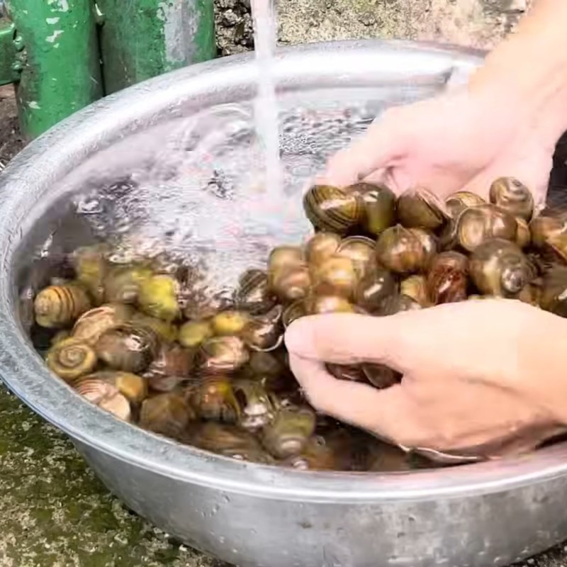 Bước 1 Sơ chế và làm sạch ốc mít Ốc mít luộc