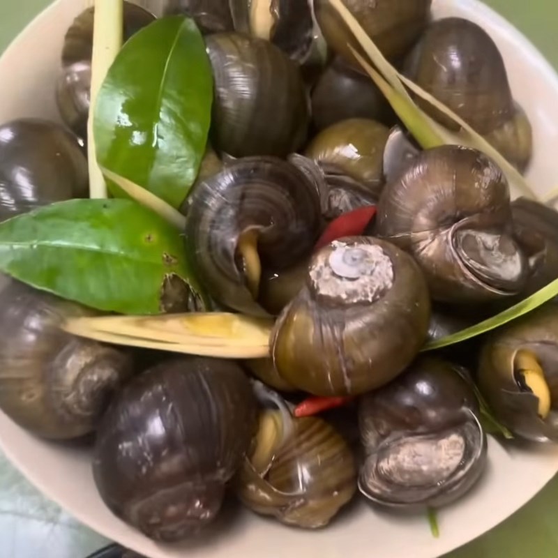 Bước 6 Thành phẩm Ốc mít luộc