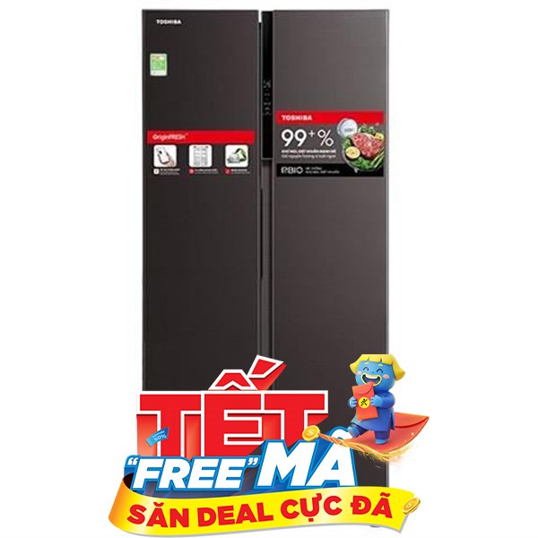 Toshiba Inverter 460 lít GR-RS600WI-PMV(37)-SG