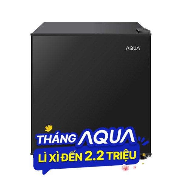 Aqua 50 lít AQR-D60FA(BS)