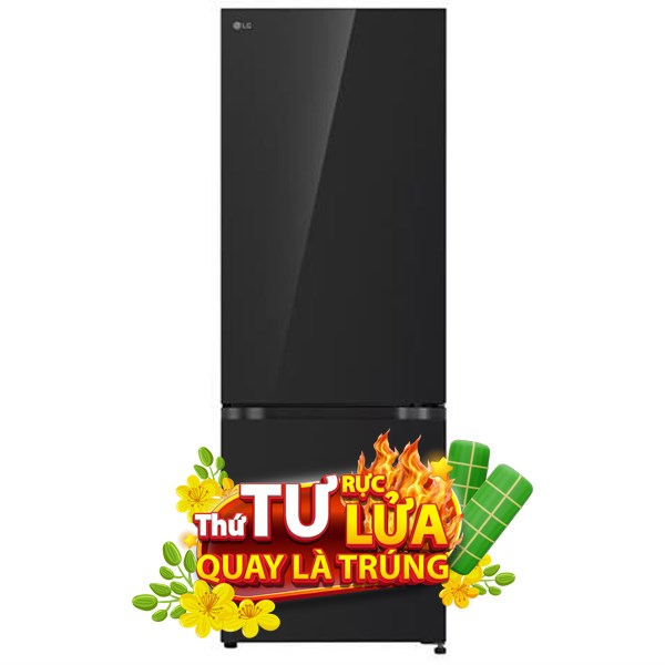 LG Inverter 335 lít LBB33BLGA