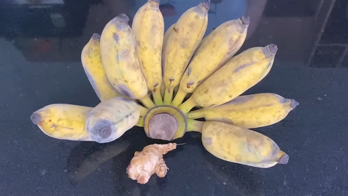 Nguyên liệu món ăn cách làm chuối ép dẻo thơm ngon, ngọt lịm không bị đen đơn giản tại nhà