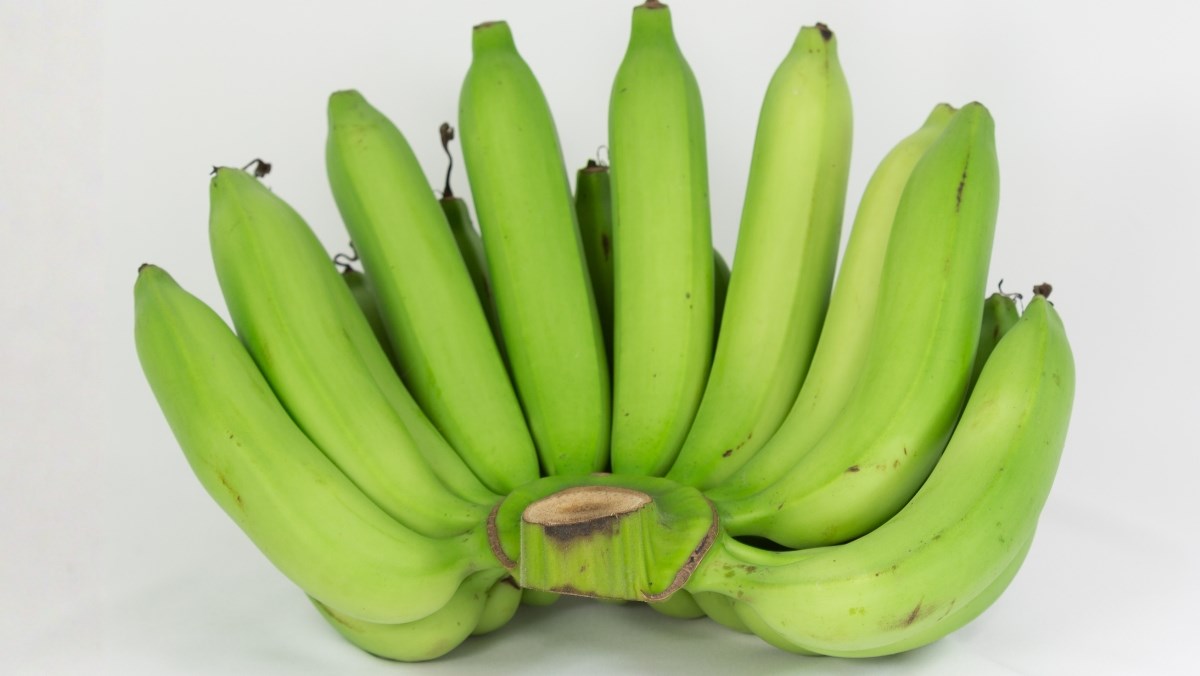 Nguyên liệu món ăn cách làm chuối xanh luộc dẻo ngon tại nhà giúp giảm cân và tốt cho sức khỏe