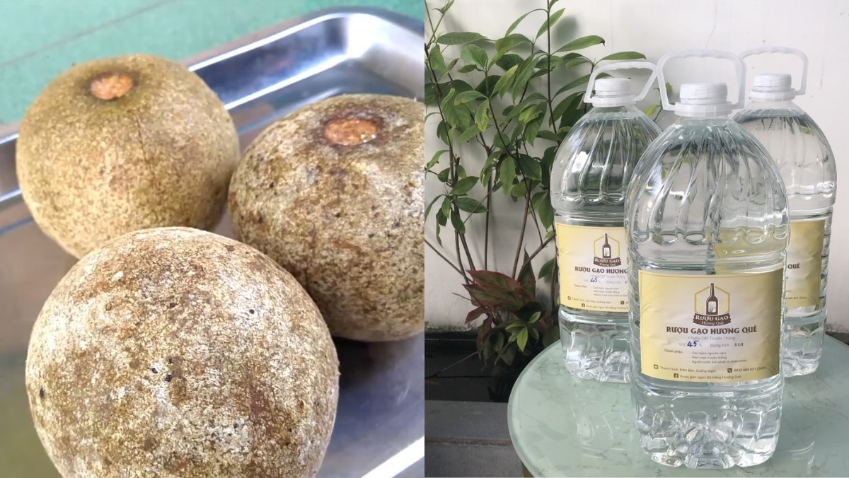 Nguyên liệu món ăn cách làm trái quách ngâm rượu thơm lừng bổ thận giảm đau lưng tại nhà