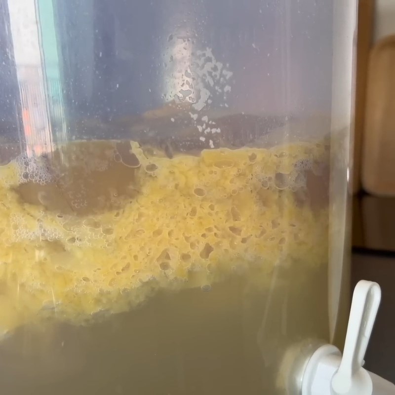 Bước 3 Lên men giai đoạn đầu Rượu xoài