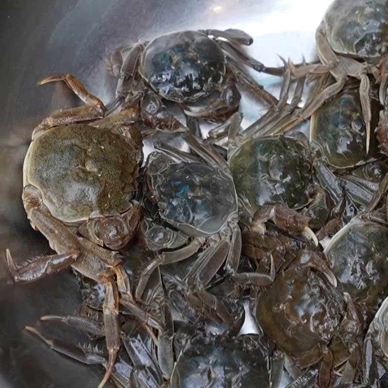 Bước 1 Sơ chế cua cà ra và lọc lấy nước cốt lẩu cà ra