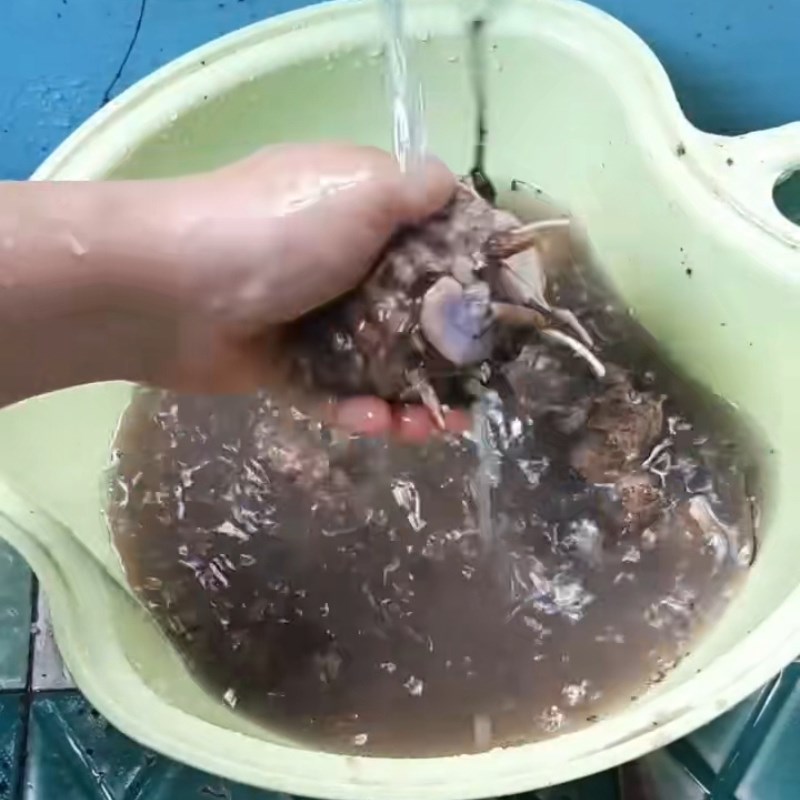 Bước 1 Sơ chế nghệ đen tươi ngon Nghệ đen ngâm mật ong