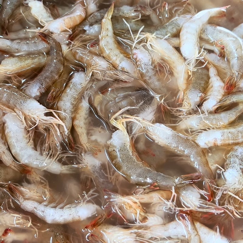 Bước 1 Sơ chế tép tươi ngon Mắm tép chua