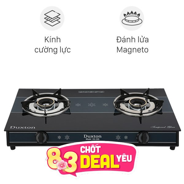 Bếp ga đôi Duxton DG-595