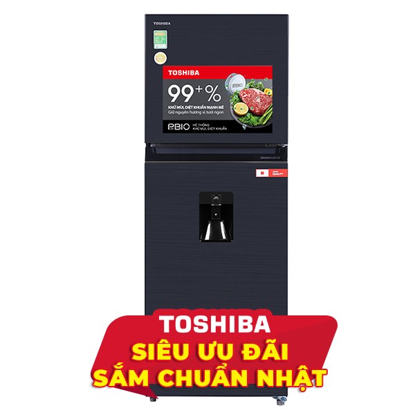 Toshiba Inverter 311 lít GR-RT395WE-PMV(06)-MG