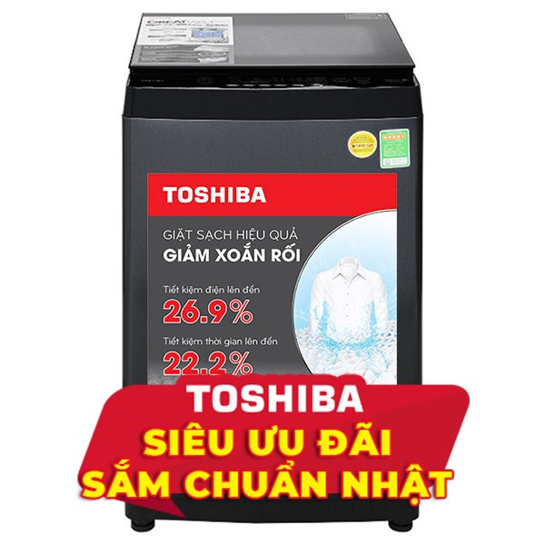 Toshiba 10 Kg AW-M1100PV(MK)