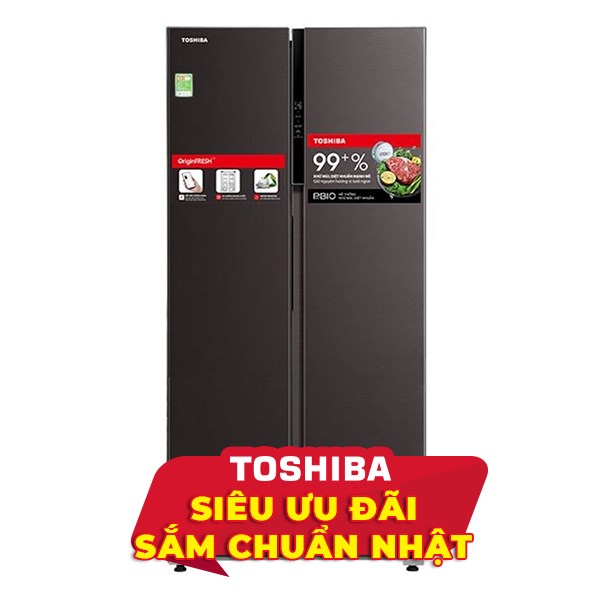 Toshiba Inverter 460 lít GR-RS600WI-PMV(37)-SG