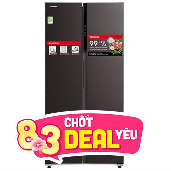 Toshiba Inverter 460 lít GR-RS600WI-PMV(37)-SG