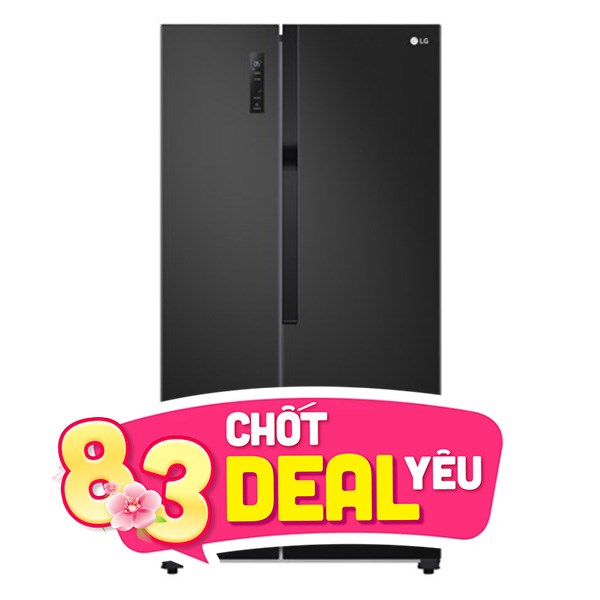 LG Inverter 519 lít GR-B256BL