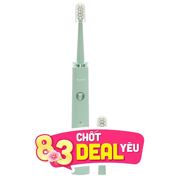 Bàn chải điện Flyco FT1701VN