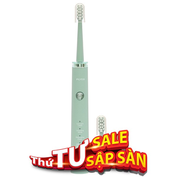 Bàn chải điện Flyco FT1701VN