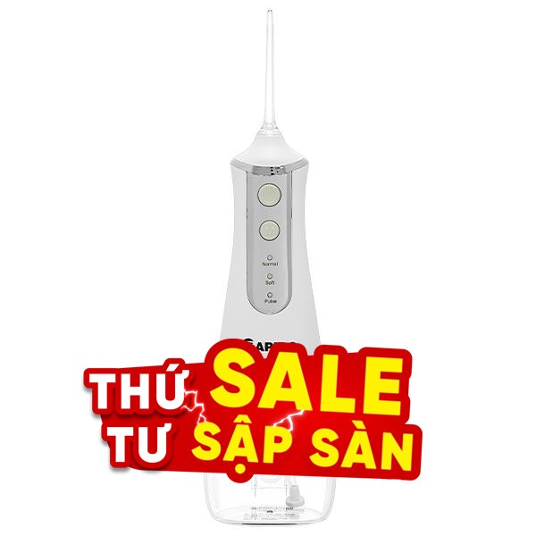 Máy tăm nước cầm tay Rapido RWW-300