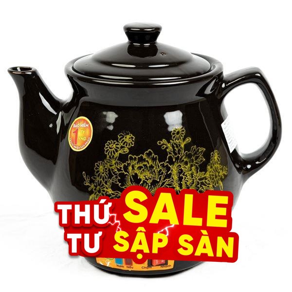 Siêu sắc thuốc điện Seika 3.2 lít SKS 326 Đen