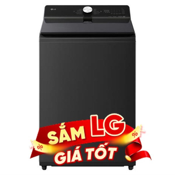 LG Inverter 13 Kg T2313DX5N