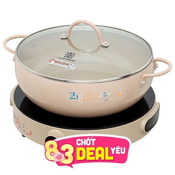 Bếp từ đơn Hawonkoo CEH-101-I-CF 2000W