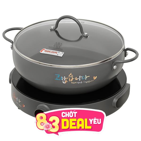 Bếp từ đơn Hawonkoo CEH-101-I-GR 2000W