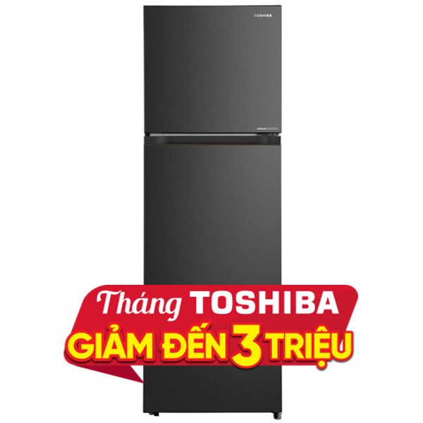 Toshiba Inverter 271 lít GR-RT349WE-PMV(68)