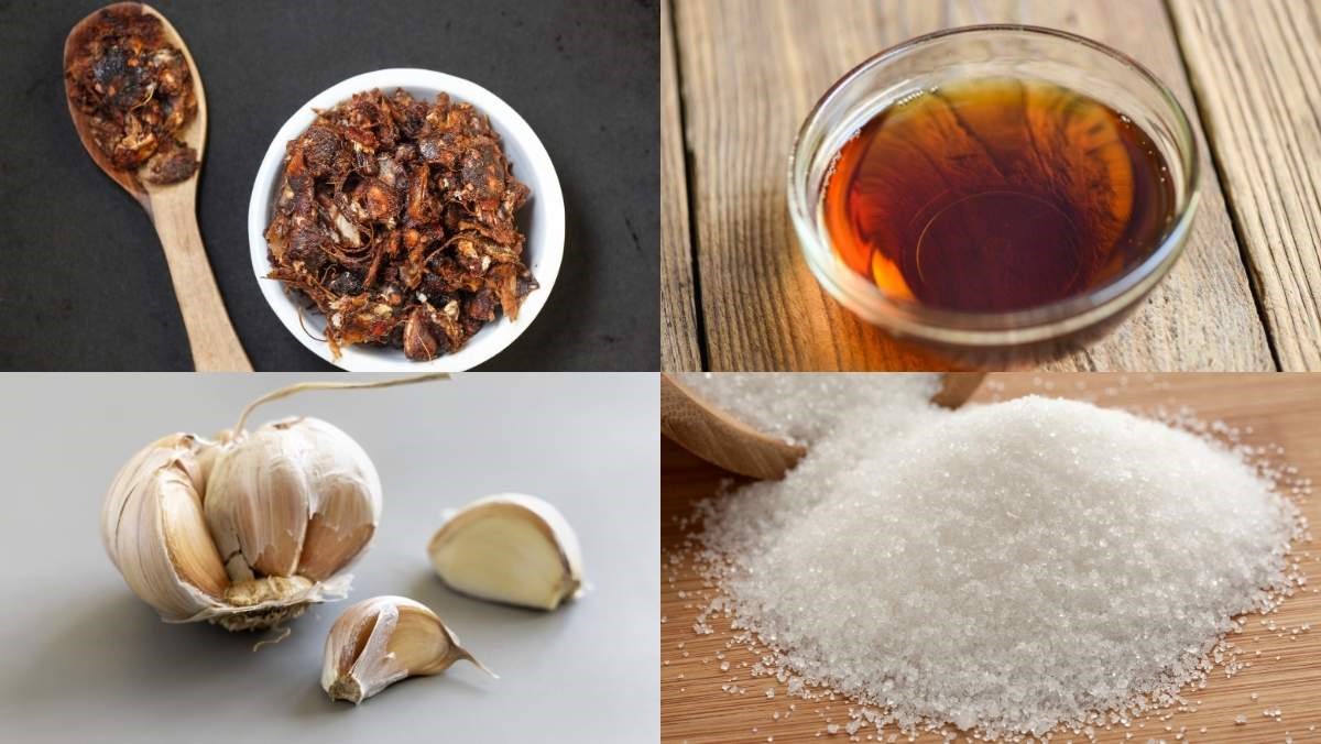 Nguyên liệu món ăn cách làm mắm me đa năng chua ngọt đậm đà chấm món gì cũng ngon tuyệt đỉnh