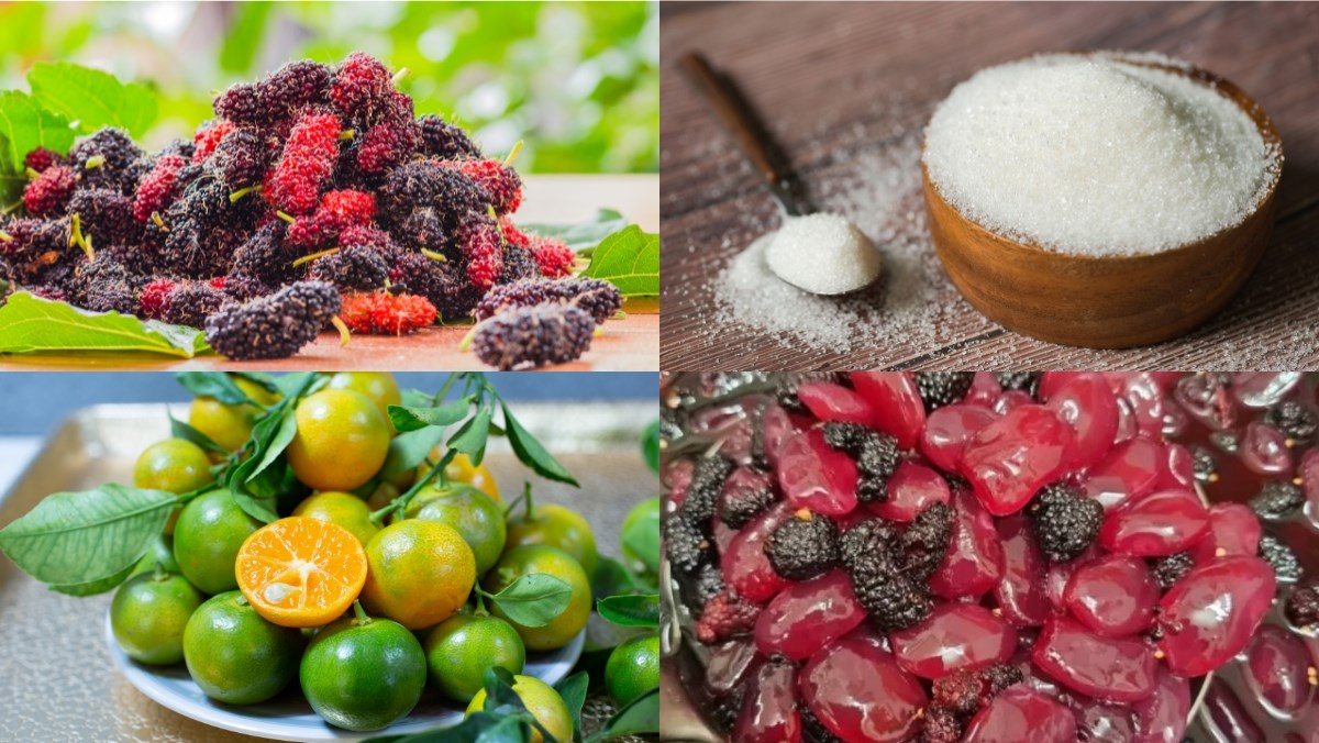 Nguyên liệu món ăn cách làm nước dâu tằm thơm ngon không bị lên men để giải khát ngày hè