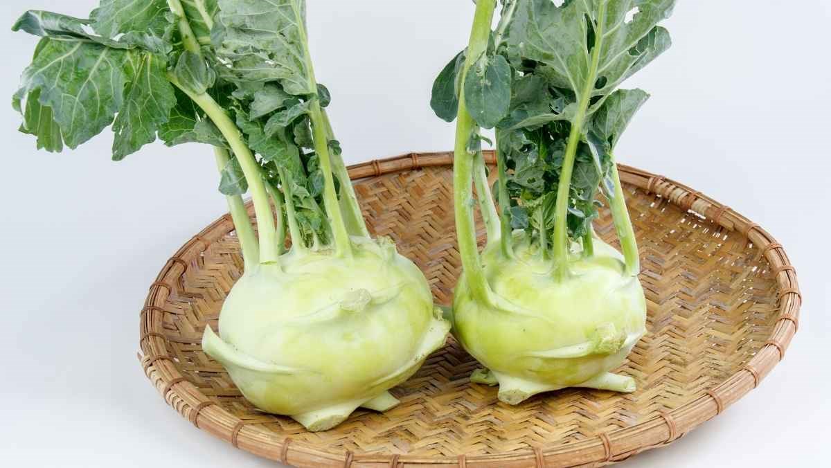 Nguyên liệu món ăn cách làm su hào luộc ngọt thơm, giòn ngon, thanh mát cho bữa cơm gia đình