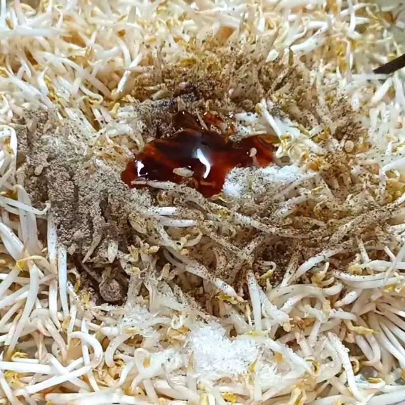 Bước 3 Nêm nếm gia vị giá xào hẹ