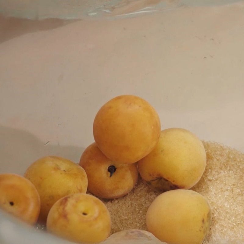 Bước 2 Ngâm mơ với đường Nước mơ ngâm