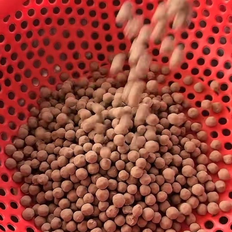 Bước 1 Rây trân châu khô Trân châu đen luộc