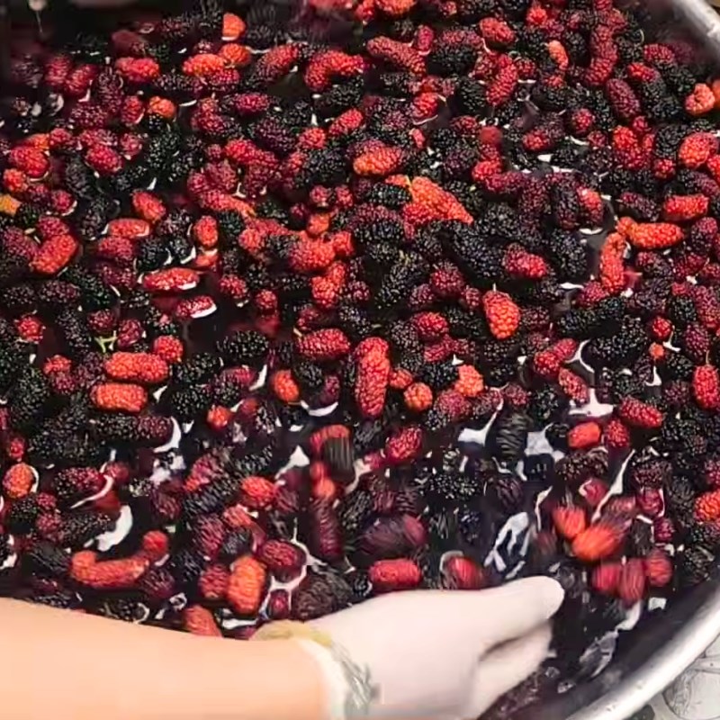 Bước 1 Sơ chế dâu tằm tươi ngon Dâu tằm ngâm đường phèn