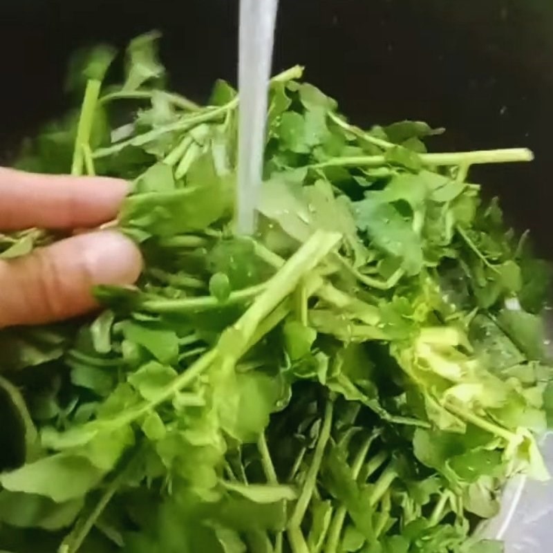 Bước 1 Sơ chế nguyên liệu Rau cải xoong xào tỏi