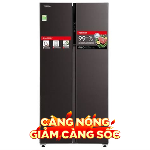 Toshiba Inverter 460 lít GR-RS600WI-PMV(37)-SG