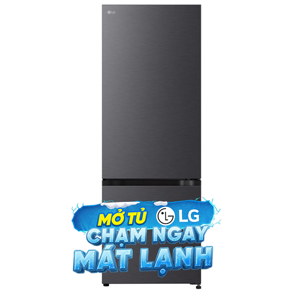 LG Inverter 335 lít LBB33BLM