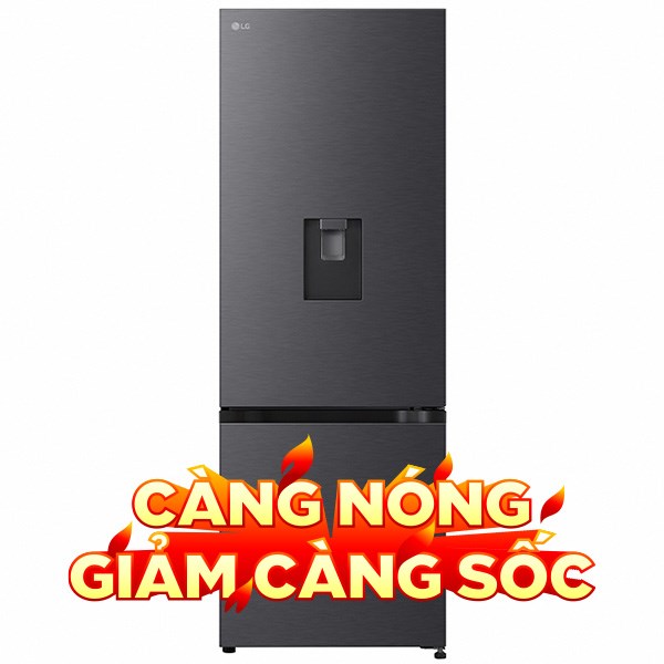 LG Inverter 332 lít LBD33BLM