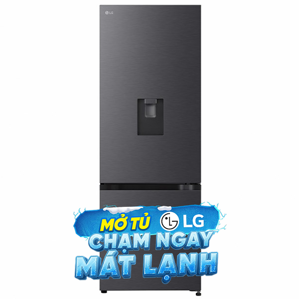 LG Inverter 332 lít LBD33BLM