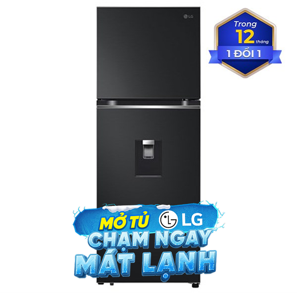 LG Inverter 314 lít LTD31BLM