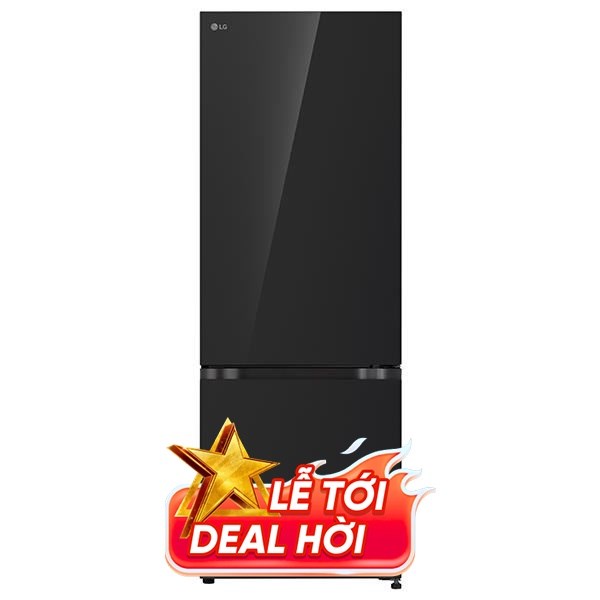 LG Inverter 335 lít LBB33BLGA