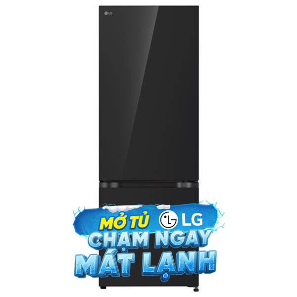 LG Inverter 335 lít LBB33BLGA