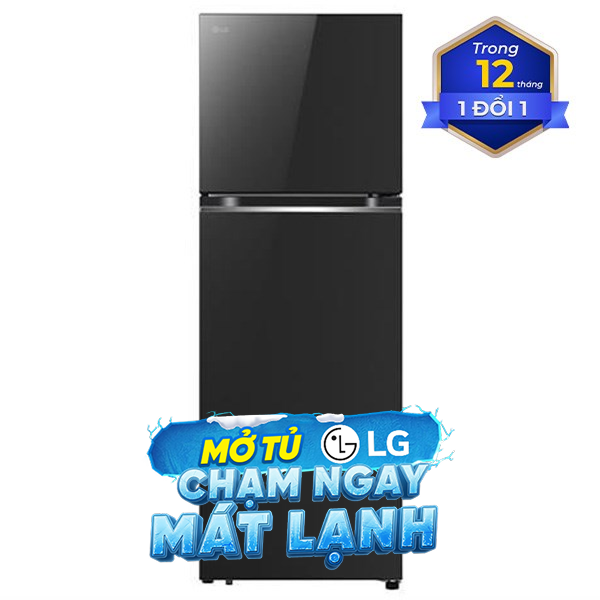 LG Inverter 335 lít LTB33BLG